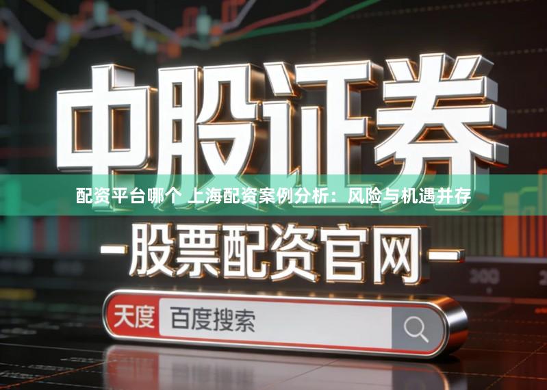 配资平台哪个 上海配资案例分析：风险与机遇并存