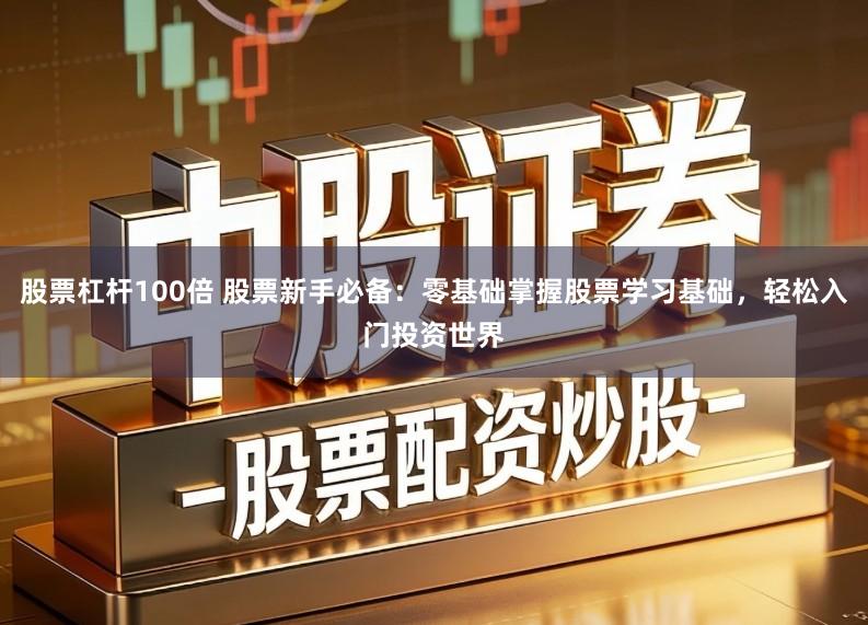 股票杠杆100倍 股票新手必备：零基础掌握股票学习基础，轻松入门投资世界