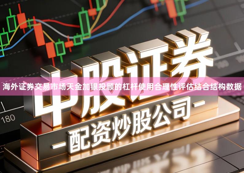 海外证券交易市场天金加银投顾的杠杆使用合理性评估结合结构数据