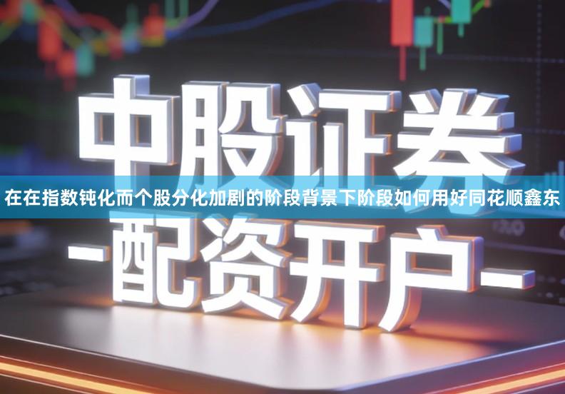 在在指数钝化而个股分化加剧的阶段背景下阶段如何用好同花顺鑫东