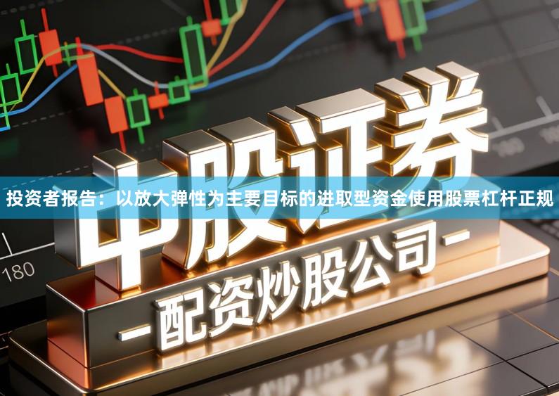 投资者报告：以放大弹性为主要目标的进取型资金使用股票杠杆正规